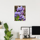Belle Poster du Jardin Fleur Iris Lilac violet (Bureau à domicile)