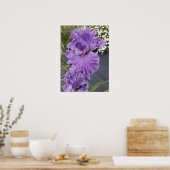Belle Poster du Jardin Fleur Iris Lilac violet (Cuisine)