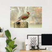 Belle Poster Rectangulaire Cardinal Lady (Bureau à domicile)