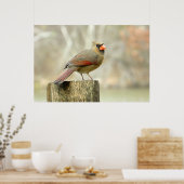 Belle Poster Rectangulaire Cardinal Lady (Cuisine)