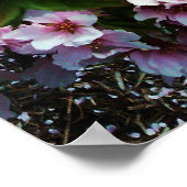 BELLE PRINTEMPS poster JAPONAIS MAGNOLIA (Coin)