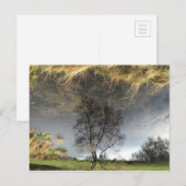 Belle Reflection Photographie Arbre Carte Postale (Devant / Derrière)