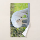 Belle Renard Artique (Serviette à main)