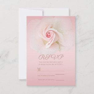Belle Rose Rose Mouillée Douce Élégante RSVP de Ma