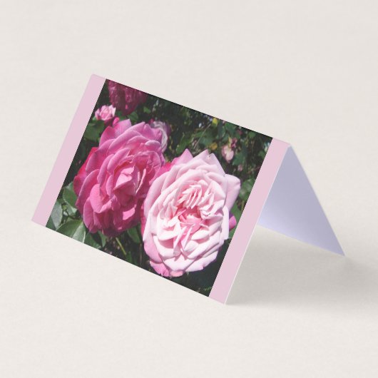 Belle Rose Rose Rose Love Carte de voeux (Front)