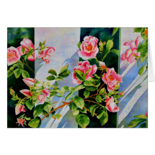 Belle rose rose rouge roses blanc aquarelle floral