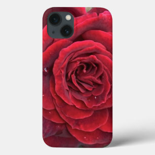 Belle rose rouge iphone 13 coque