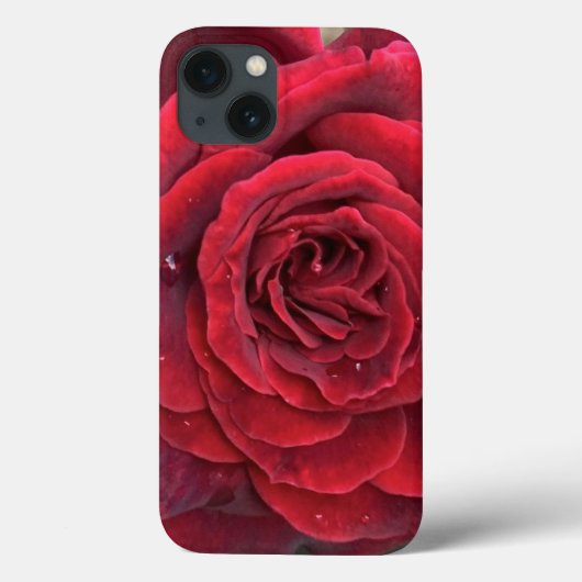 Belle rose rouge iphone 13 coque (Verso)