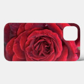 Belle rose rouge iphone 13 coque (Verso (horizontal))