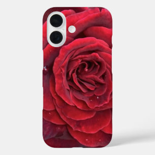 Belle rose rouge iphone 16 coque