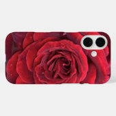 Belle rose rouge iphone 16 coque (Verso (horizontal))