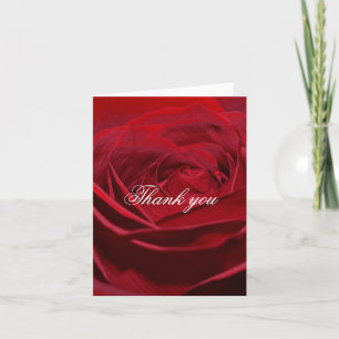 Belle Rose Rouge Merci