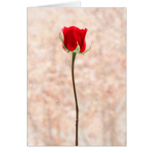 Belle Rose rouge personnalisable