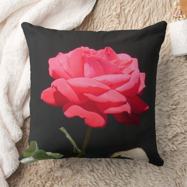 Belle rose rouge rose rose gros Coussin (Couverture)
