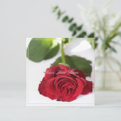 Belle Rose rouge Votre Carte Appartement Texte (Debout devant)