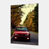 Belle_Rouge_E34 (Angle)