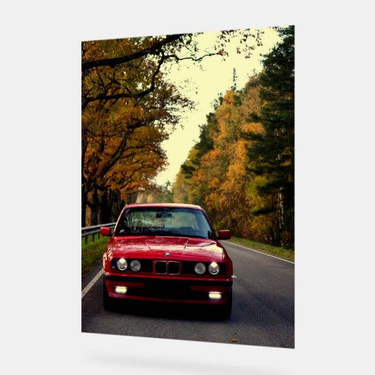 Belle_Rouge_E34 (Angle)