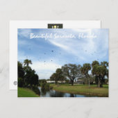 Belle Sarasota, Florida Carte Postale (Devant / Derrière)