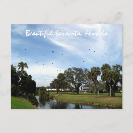Belle Sarasota, Florida Carte Postale (Devant)