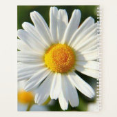 Belle Shasta Daisy | Floral personnalisé (Dos)