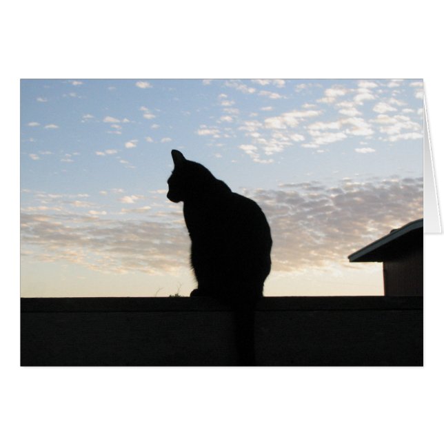 Belle silhouette de chat au coucher du soleil (Devant Horizontal)