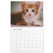 Belle Tabbies Orange 2022 Calendrier (Jan 2027)