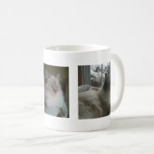 Belle tasse de café de chat de Hymalayan Ragdoll (Devant droit)