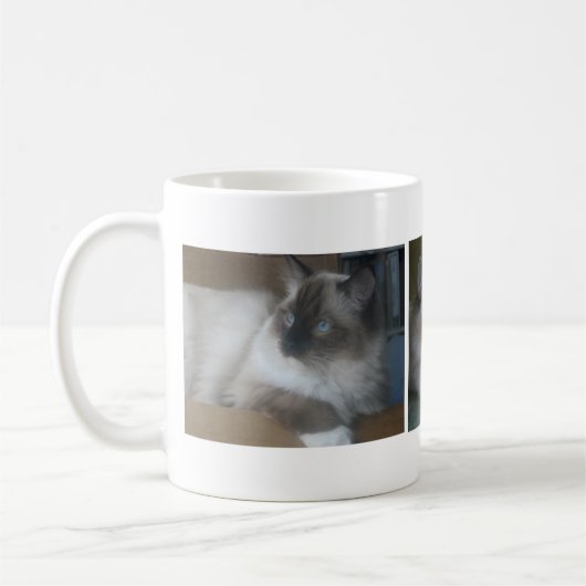 Belle tasse de café de chat de Hymalayan Ragdoll (Gauche)