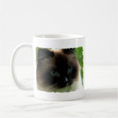 Belle tasse de chat de Ragdoll (Gauche)