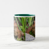 Belle tasse de crapaud (Centre)