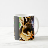 Belle tasse de lapin de Rex (Devant droit)