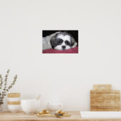 Belle The Shih Tzu Affiche (Cuisine)