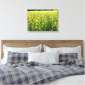 Belle toile de Fleur Jaune (Insitu(Chambre))