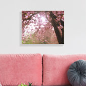 Belle Toile En Fleur D'Arbre Rose. (Insitu(Salon))
