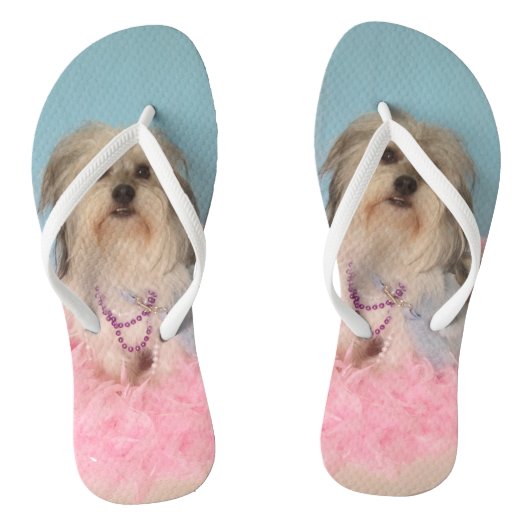 Belle tongs de chien (Semelle)