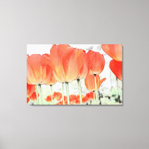 belle tulipe rouge fleurs toile enveloppée