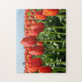 Belle tulipe rouge puzzle d'impression (Vertical)