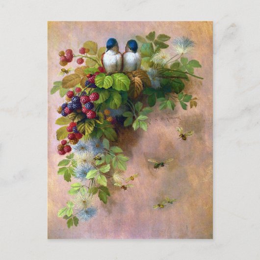 Belle Vins de Berry et Blue Birds Carte postale (Devant)