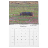BELLE ZAMBIE ET CALENDRIER DE LA FAUNE DU BOTSWANA (Mar 2027)