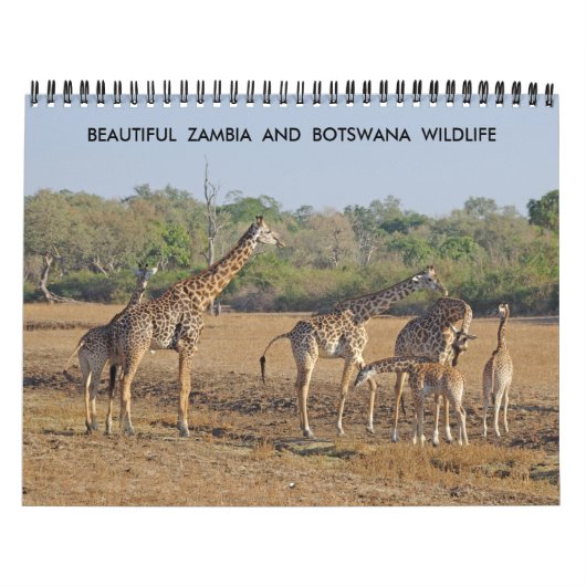 BELLE ZAMBIE ET CALENDRIER DE LA FAUNE DU BOTSWANA (Protection)