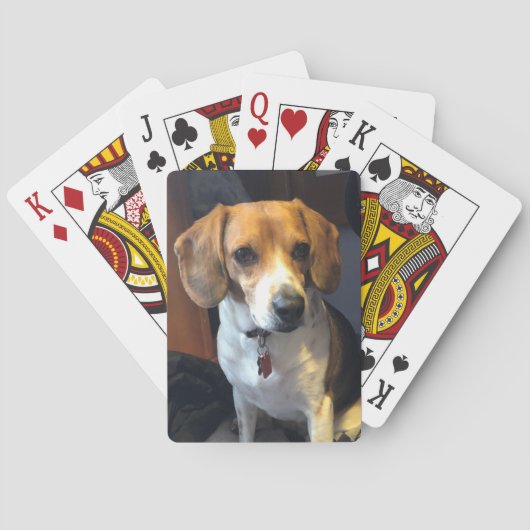 Belles cartes de jeu de beagle (dos)