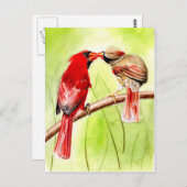 belles cartes postales d'oiseaux 15 (Devant / Derrière)