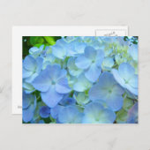 Belles cartes postales florales Pastel Blue Hydran (Devant / Derrière)