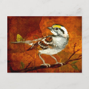 belles cartes postales oiseaux 13