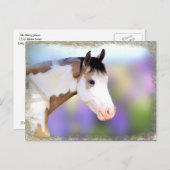 Belles cartes postales pour chevaux (Devant / Derrière)