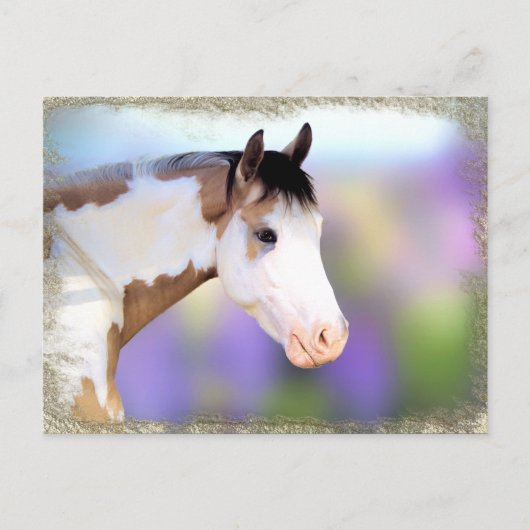 Belles cartes postales pour chevaux (Devant)