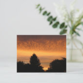 Belles cartes postales Sunrise (Debout devant)