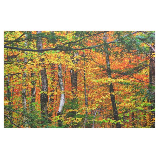 Belles couleurs d'automne dans le tissu (Yard)