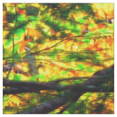 Belles couleurs d'automne dans le tissu (Fermer)