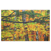 Belles couleurs d'automne dans le tissu (Fat Quarter)